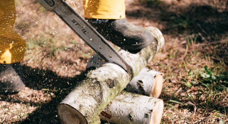 Schneiden der Bäume