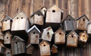 Futterhäuser für Vögel